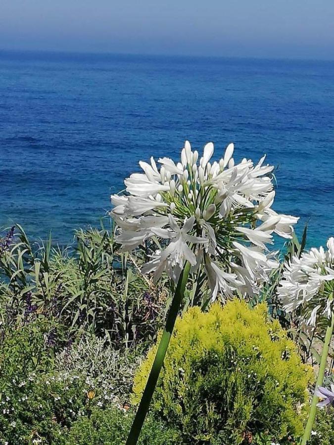 Ikaria Village Maisonette 10 Χλώρακα Εξωτερικό φωτογραφία